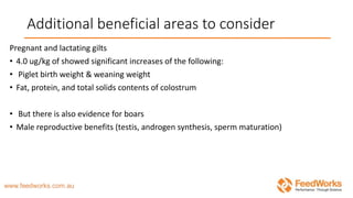Pregnant and lactating gilts
• 4.0 ug/kg of showed significant increases of the following:
• Piglet birth weight & weaning weight
• Fat, protein, and total solids contents of colostrum
• But there is also evidence for boars
• Male reproductive benefits (testis, androgen synthesis, sperm maturation)
Additional beneficial areas to consider
 