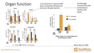 Organ function 1,25 conversion is impaired 50%
when comparing a 90 week old
bird and a 30 week old bird.
Cracked eggs
increased from 0%
at 30 weeks to
58.6% at 120
weeks
 