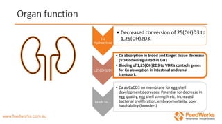 Organ function
1-a
Hydroxylase
• Decreased conversion of 25(OH)D3 to
1,25(OH)2D3.
1,25(OH)2D3
• Ca absorption in blood and target tissue decrease
(VDR downregulated in GIT)
• Binding of 1,25(OH)2D3 to VDR’s controls genes
for Ca absorption in intestinal and renal
transport.
Leads to….
• Ca as CaCO3 on membrane for egg shell
development decreases: Potential for decrease in
egg quality, egg shell strength etc. Increased
bacterial proliferation, embryo mortality, poor
hatchability (breeders)
 