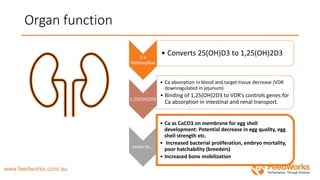 Organ function
1-a
Hydroxylase
• Converts 25(OH)D3 to 1,25(OH)2D3
1,25(OH)2D3
• Ca absorption in blood and target tissue decrease (VDR
downregulated in jejunum)
• Binding of 1,25(OH)2D3 to VDR’s controls genes for
Ca absorption in intestinal and renal transport.
Leads to….
• Ca as CaCO3 on membrane for egg shell
development: Potential decrease in egg quality, egg
shell strength etc.
• Increased bacterial proliferation, embryo mortality,
poor hatchability (breeders)
• Increased bone mobilization
 