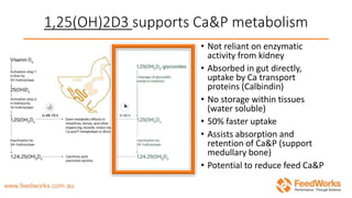 1,25(OH)2D3 supports Ca&P metabolism
• Not reliant on enzymatic
activity from kidney
• Absorbed in gut directly,
uptake by Ca transport
proteins (Calbindin)
• No storage within tissues
(water soluble)
• 50% faster uptake
• Assists absorption and
retention of Ca&P (support
medullary bone)
• Potential to reduce feed Ca&P
 