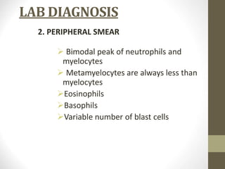 LAB DIAGNOSIS
2. PERIPHERAL SMEAR
 Bimodal peak of neutrophils and
myelocytes
 Metamyelocytes are always less than
myelocytes
Eosinophils
Basophils
Variable number of blast cells
 