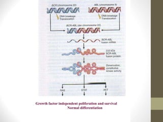 Growth factor independent poliferation and survival
Normal differentiation
 