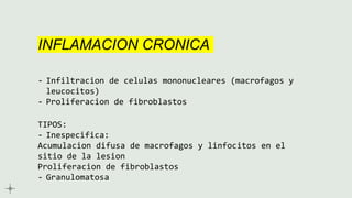 INFLAMACION CRONICA
- Infiltracion de celulas mononucleares (macrofagos y
leucocitos)
- Proliferacion de fibroblastos
TIPOS:
- Inespecifica:
Acumulacion difusa de macrofagos y linfocitos en el
sitio de la lesion
Proliferacion de fibroblastos
- Granulomatosa
 