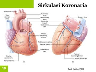 Faal_KV/ikun/2006
10
Sirkulasi Koronaria
 