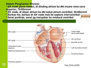 Faal_KV/ikun/2006
12
Sistem Penghantar Khusus:
* SA node (pace maker), di dinding atrium ka dkt muara vena cava
superior; 70-80x/mnt
* AV node, di dasar atrium ka dkt sekat atrium-ventrikel; 40-60x/mnt
* Berkas his, berkas dr AV node msk ke septum interventrikel
* Serat purkinje, serat yg menyebar ke miokard ventrikel
20-40x/mnt
 