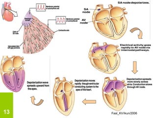 Faal_KV/ikun/2006
13
 