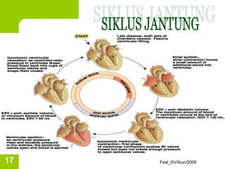 Faal_KV/ikun/2006
17
 