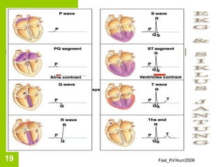 Faal_KV/ikun/2006
19
 