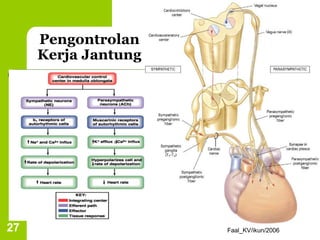 Faal_KV/ikun/2006
27
Pengontrolan
Kerja Jantung
 