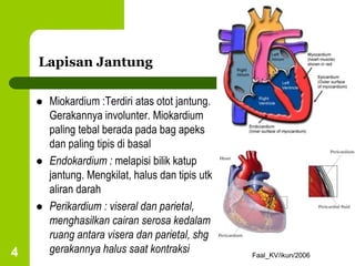 Faal_KV/ikun/2006
4
Lapisan Jantung
 Miokardium :Terdiri atas otot jantung.
Gerakannya involunter. Miokardium
paling tebal berada pada bag apeks
dan paling tipis di basal
 Endokardium : melapisi bilik katup
jantung. Mengkilat, halus dan tipis utk
aliran darah
 Perikardium : viseral dan parietal,
menghasilkan cairan serosa kedalam
ruang antara visera dan parietal, shg
gerakannya halus saat kontraksi
 