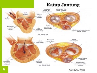 Faal_KV/ikun/2006
6
Katup Jantung
 