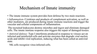 Innate State Hypersensitivity | PPTX