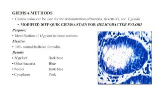 GIEMSA METHODS
• Giemsa stains can be used for the demonstration of bacteria, rickettsia's, and T gondii.
• MODIFIED DIFF-QUIK GIEMSA STAIN FOR HELICOBACTER PYLORI
Purpose:
• Identification of H pylori in tissue sections.
Fixative
• 10% neutral-buffered formalin.
Results
• H pylori Dark blue
• Other bacteria Blue
• Nuclei Dark blue
• Cytoplasm Pink
 