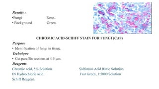 Results :
•Fungi Rose.
• Background Green.
CHROMIC ACID-SCHIFF STAIN FOR FUNGI (CAS)
Purpose
• Identification of fungi in tissue.
Technique
• Cut paraffin sections at 4-5 μm.
Reagents
Chromic acid, 5% Solution. Sulfurous Acid Rinse Solution
IN Hydrochloric acid. Fast Green, 1:5000 Solution
Schiff Reagent.
 
