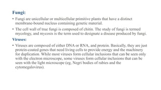 Fungi:
• Fungi are unicellular or multicellular primitive plants that have a distinct
membrane-bound nucleus containing genetic material.
• The cell wall of true fungi is composed of chitin. The study of fungi is termed
mycology, and mycosis is the term used to designate a disease produced by fungi.
Viruses:
• Viruses are composed of either DNA or RNA, and protein. Basically, they are just
protein-coated genes that need living cells to provide energy and the machinery
for duplication. While most viruses form cellular inclusions that can be seen only
with the electron microscope, some viruses form cellular inclusions that can be
seen with the light microscope (eg, Negri bodies of rabies and the
cytomegalovirus).
 