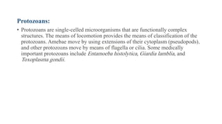 Protozoans:
• Protozoans are single-celled microorganisms that are functionally complex
structures. The means of locomotion provides the means of classification of the
protozoans. Amebae move by using extensions of their cytoplasm (pseudopods),
and other protozoans move by means of flagella or cilia. Some medically
important protozoans include Entamoeba histolytica, Giardia lamblia, and
Toxoplasma gondii.
 