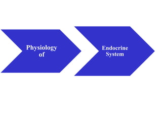 Physiology
of
Endocrine
System
 