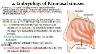 9. Anatomy of the Nose and Paranasal sinuses, Dr. Maxprince.pptx