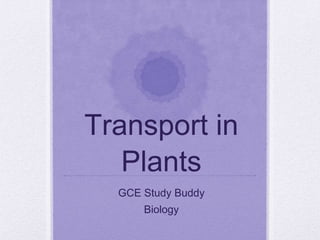 Transport in
Plants
GCE Study Buddy
Biology
 