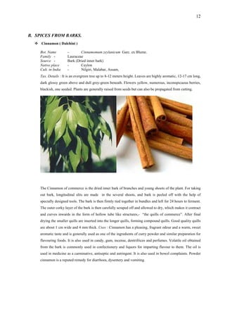 12
B. SPICES FROM BARKS.
Cinnamon ( Dalchini )
Bot. Name - Cinnamomum zeylanicum Garc. ex Blume.
Family - Lauraceae
Source - Bark (Dried inner bark)
Native place - Ceylon
Cult. in India - Nilgiri, Malabar, Assam,
Tax. Details : It is an evergreen tree up to 8-12 meters height. Leaves are highly aromatic, 12-17 cm long,
dark glossy green above and dull grey-green beneath. Flowers yellow, numerous, inconspicuous berries,
blackish, one seeded. Plants are generally raised from seeds but can also be propagated from cutting.
The Cinnamon of commerce is the dried inner bark of branches and young shoots of the plant. For taking
out bark, longitudinal slits are made in the several shoots, and bark is peeled off with the help of
specially designed tools. The bark is then firmly tied together in bundles and left for 24 hours to ferment.
The outer corky layer of the bark is then carefully scraped off and allowed to dry, which makes it contract
and curves inwards in the form of hollow tube like structures,- “the quills of commerce”. After final
drying the smaller quills are inserted into the longer quills, forming compound quills. Good quality quills
are about 1 cm wide and 4 mm thick. Uses : Cinnamon has a pleasing, fragrant odour and a warm, sweet
aromatic taste and is generally used as one of the ingredients of curry powder and similar preparation for
flavouring foods. It is also used in candy, gum, incense, dentrifrices and perfumes. Volatile oil obtained
from the bark is commonly used in confectionery and liquors for imparting flavour to them. The oil is
used in medicine as a carminative, antiseptic and astringent. It is also used in bowel complaints. Powder
cinnamon is a reputed remedy for diarrhoea, dysentery and vomiting.
 