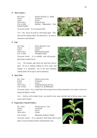 14
Mint ( Podina )
- Mentha longifolia ( L .)Huds.
Family - Lamiaceae
e
ia rashtra, Uttar
ab
t is a
agent . They are
Sag
t. Name - Salvia officinalis Linn.
Family - Lamiaceae
e
ia a
ail ,
leaves has long been used as
Spe
e - Mentha spicata Linn.
Family - Lamiaceae
e nd Asia
ia Mahrashtra
ils : It is a aves found commonly in wet places. Leaves are
d leaves are used for mint- sauce and jelly and to flavour soups, stews,
Pep na )
ntha piperita Linn.
Family - Lamiaceae
e
hmir, Punjab
ails : It is n moist
places. Leaves are thick aromatic with prominent veins.
Bot.l Name
Source - Leaves
Native plac - Europe & Asia
Cult. in Ind - Kashmir, Maha
Pradesh, Punj
Taxonomic details : I n aromatic herb.
Uses : The leaves are used as a flavouring
also used for making chatni. The dried leaves are used as
carminative and stimulant.
e
Bo
Source - Leaves
Native plac - Mediterranean region
Cult. in Ind - Throughout Indi
Taxonomic det s : It is a shrubby herb with greyish
green hairy aromatic leaves.
Uses : The aromatic sage
spice for use in making stuffing for fowl, meats, and
sausage. It is considered one of the most important
culinary herbs. Oil of sage is used in perfumery.
ar Mint
Bot. Nam
Source - Leaves
Native plac - Temperate Europe a
Cult. in Ind - Punjab, U.P., &
Taxonomic deta small herbs with aromatic le
longer and lighter in colour.
Uses : Fresh as well as drie
sauces and beverages.
permint ( Vilayaiti Podi
Bot. Name - Me
Source - Leaves
Native plac - Europe
Cult. in India - Mahrashtra, Kas
Taxonomic det a perennial herb found wild i
 
