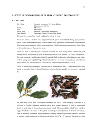 16
D. SPICES OBTAINED FROM FLOWER BUDS, FLOWERS , FRUITS & SEEDS
Clove ( Laung )
Bot. Name - Syzygium aromaticum (L.) Merr. & Perry
(Eugenia caryophyllus)
Family - Myrtaceae
Part - Flower Bud
Native place - Moluccas (Spice Island in Indonesia)
Cult. in India - Tamilnadu (Nilgiri) Western Ghat, Kerala
The name clove comes from French word used for nail i.e. ‘le clou’.
Taxonomic details : A medium sized evergreen tree with grayish bark and dark shining green, aromatic
leaves. Flower buds (unopened) have, cylindrical base called hypanthium with 4 toothed triangular calyx
lobes, four crimson unopened petals, numerous stamens. The hypanthium contains number of oil glands
at the base that impart a characteristic odour.
Clove is a plant of tropical region. It requires soil with rich loam having humus content and good
drainage. Clove is propagated by seeds. A tree starts producing clove from the 7 or 8 years after planting.
The yield is rather low until tree are at least 20 years old. Buds are harvested before they open and colour
of their turning green to pinkish tinge. The clove tree thrives best in deep volcanic, loamy soil and warm
humid climate with annual rain fall of 150 to 250 cm. and mean temperature from 16-380
C.
Curing of buds is done by spreading evenly on mats or cemented floor, for 4 –5 days. During night , they
should be covered to check re-absorb of moisture. After this they are heated in zinc trays over a regulated
fire.
For some time cloves were a Portuguese monopoly and later a Dutch monopoly. Nowadays it is
cultivated in Zanzibar, Indonesia, Mauritius and the West Indies is going on. In India, it is cultivated
largely in South India. In Eastern Indonesia, volcanic island – Moluccas which is called ‘Spice Island’ is
supposed to be the native place of clove plant. The Portuguese controlled trade of clove till 16th
century.
Later on the Dutch government through East India Company employed rigorous and repressive measures
to maintain complete monopoly of the clove trade during the 17th
& 18th
centuries. The clove were then
 