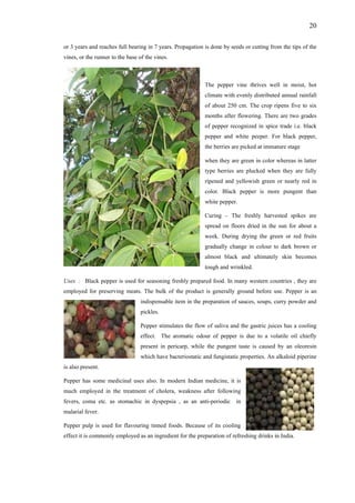 20
or 3 years and reaches full bearing in 7 years. Propagation is done by seeds or cutting from the tips of the
vines, or the runner to the base of the vines.
The pepper vine thrives well in moist, hot
climate with evenly distributed annual rainfall
of about 250 cm. The crop ripens five to six
months after flowering. There are two grades
of pepper recognized in spice trade i.e. black
pepper and white peeper. For black pepper,
the berries are picked at immature stage
when they are green in color whereas in latter
type berries are plucked when they are fully
ripened and yellowish green or nearly red in
color. Black pepper is more pungent than
white pepper.
Curing – The freshly harvested spikes are
spread on floors dried in the sun for about a
week. During drying the green or red fruits
gradually change in colour to dark brown or
almost black and ultimately skin becomes
tough and wrinkled.
Uses : Black pepper is used for seasoning freshly prepared food. In many western countries , they are
employed for preserving meats. The bulk of the product is generally ground before use. Pepper is an
indispensable item in the preparation of sauces, soups, curry powder and
pickles.
Pepper stimulates the flow of saliva and the gastric juices has a cooling
effect. The aromatic odour of pepper is due to a volatile oil chiefly
present in pericarp, while the pungent taste is caused by an oleoresin
which have bacteriostatic and fungistatic properties. An alkaloid piperine
is also present.
Pepper has some medicinal uses also. In modern Indian medicine, it is
much employed in the treatment of cholera, weakness after following
fevers, coma etc. as stomachic in dyspepsia , as an anti-periodic in
malarial fever.
Pepper pulp is used for flavouring tinned foods. Because of its cooling
effect it is commonly employed as an ingredient for the preparation of refreshing drinks in India.
 