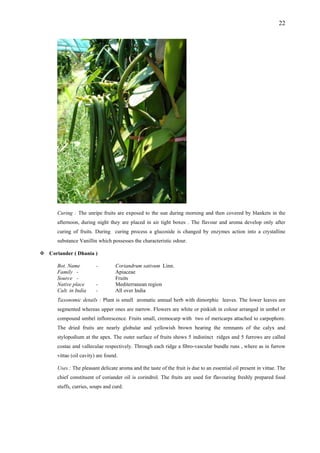 22
Curing : The unripe fruits are exposed to the sun during morning and then covered by blankets in the
afternoon, during night they are placed in air tight boxes . The flavour and aroma develop only after
curing of fruits. During curing process a glucoside is changed by enzymes action into a crystalline
substance Vanillin which possesses the characteristic odour.
Coriander ( Dhania )
Bot. Name - Coriandrum sativum Linn.
Family - Apiaceae
Source - Fruits
Native place - Mediterranean region
Cult. in India - All over India
Taxonomic details : Plant is small aromatic annual herb with dimorphic leaves. The lower leaves are
segmented whereas upper ones are narrow. Flowers are white or pinkish in colour arranged in umbel or
compound umbel inflorescence. Fruits small, cremocarp with two of mericarps attached to carpophore.
The dried fruits are nearly globular and yellowish brown bearing the remnants of the calyx and
stylopodium at the apex. The outer surface of fruits shows 5 indistinct ridges and 5 furrows are called
costae and valleculae respectively. Through each ridge a fibro-vascular bundle runs , where as in furrow
vittae (oil cavity) are found.
Uses : The pleasant delicate aroma and the taste of the fruit is due to an essential oil present in vittae. The
chief constituent of coriander oil is corindrol. The fruits are used for flavouring freshly prepared food
stuffs, curries, soups and curd.
 