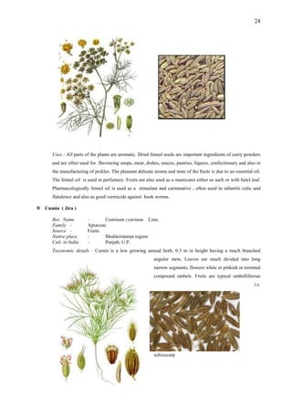 24
Uses : All parts of the plants are aromatic. Dried fennel seeds are important ingredients of curry powders
and are often used for flavouring soups, meat, dishes, sauces, pastries, liquors, confectionary and also in
the manufacturing of pickles. The pleasant delicate aroma and taste of the fruits is due to an essential oil.
The fennel oil is used in perfumery. Fruits are also used as a masticator either as such or with betel leaf.
Pharmacologically fennel oil is used as a stimulant and carminative , often used in infantile colic and
flatulence and also as good vermicide against hook worms.
Cumin ( Jira )
Bot. Name - Cuminum cyminum Linn.
Family - Apiaceae
Source - Fruits
Native place - Mediterranean region
Cult. in India - Punjab, U.P.
Taxonomic details : Cumin is a low growing annual herb, 0.3 m in height having a much branched
angular stem. Leaves are much divided into long
narrow segments, flowers white or pinkish in terminal
compound umbels. Fruits are typical umbelliferous
schizocarp
i.e.
 