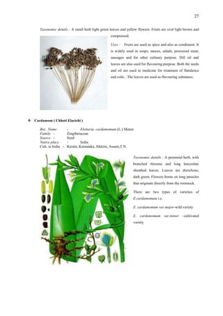 27
Taxonomic details : A small herb light green leaves and yellow flowers. Fruits are oval light brown and
compressed.
Uses : Fruits are used as spice and also as condiment. It
is widely used in soups, sauces, salads, processed meat,
sausages and for other culinary purpose. Dill oil and
leaves are also used for flavouring purpose. Both the seeds
and oil are used in medicine for treatment of flatulence
and colic . The leaves are used as flavouring substance.
Ca amom ( Chhoti Elacichi )
taria cardamomum (L.) Maton
ngiber
im, Assam,T.N.
Taxonomic details : A perennial herb, with
f
major-wild variety
ed
rd
Bot. Name - Elet
Family - Zi aceae
Source - Seed
a
Native place - Indi
-
Cult. in India Kerala, Karnataka, Sikk
branched rhizome and long lanceolate
sheathed leaves. Leaves are distichous,
dark green. Flowers borne on long panicles
that originate directly from the rootstock.
There are two types of varieties o
E.cardamomum i.e.
E. cardamomum var.
E. cardamomum var.minor –cultivat
variety
 