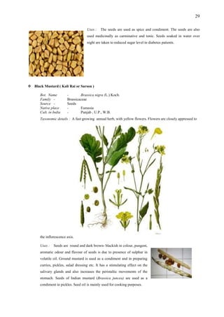 29
Uses : The seeds are used as spice and condiment. The seeds are also
used medicinally as carminative and tonic. Seeds soaked in water over
night are taken to reduced sugar level in diabetes patients.
Black Mustard ( Kali Rai or Sarson )
Bot. Name - Brassica nigra (L.) Koch.
Family - Brassicaceae
Source - Seeds
Native place - Eurassia
Cult. in India - Punjab , U.P., W.B.
Taxonomic details : A fast growing annual herb, with yellow flowers. Flowers are closely appressed to
the inflorescence axis.
Uses : Seeds are round and dark brown- blackish in colour, pungent,
aromatic odour and flavour of seeds is due to presence of sulphur in
volatile oil. Ground mustard is used as a condiment and in preparing
curries, pickles, salad dressing etc. It has a stimulating effect on the
salivary glands and also increases the peristaltic movements of the
stomach. Seeds of Indian mustard (Brassica juncea) are used as a
condiment in pickles. Seed oil is mainly used for cooking purposes.
 
