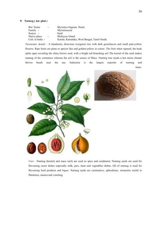 30
Nutmeg ( Jai- phal )
Bot. Name - Myristica fragrans Houtt.
Family - Myristicaceae
Source - Seed
Native place - Moluccas Island
Cult. in India - Kerala, Karnataka, West Bengal, Tamil Naidu
Taxonomic details : A handsome, dioecious evergreen tree with dark greenleaves and small pale-yellow
flowers. Ripe fruits are plum or apricot like and golden-yellow in colour. The fruit when ripened, the husk
splits open revealing the shiny brown seed, with a bright red branching aril The kernel of the seed makes
nutmeg of the commerce whereas the aril is the source of Mace. Nutmeg tree needs a hot moist climate
thrives basalt near the sea. Indonesia is the largest exporter of nutmeg and
mace.
Uses : Nutmeg (kernel) and mace (aril) are used as spice and condiment. Nutmeg seeds are used for
flavouring sweet dishes especially milk, pies, meat and vegetables dishes. Oil of nutmeg is used for
flavouring food products and liquor. Nutmeg seeds are carminative, aphrodisiac, stomachic useful in
flatulence, nausea and vomiting.
 