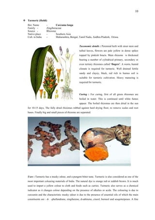 10
Turmeric (Haldi)
Bot. Name - Curcuma longa
Family - Zingiberaceae
Source - Rhizome
Native place - Southern Asia
Cult. in India - Maharashtra, Bengal, Tamil Nadu, Andhra Pradesh, Orissa.
Taxonomic details : Perennial herb with stout stem and
tufted leaves, flowers are pale yellow in dense spikes
topped by pinkish bracts. Main rhizome is thickened
bearing a number of cylindrical primary, secondary or
even tertiary rhizomes called ‘fingers’. A warm, humid
climate is required for turmeric. Well drained fertile
sandy and clayey, black, red rich in humus soil is
suitable for turmeric cultivation. Heavy manuring is
required for turmeric.
Curing : For curing, first of all green rhizomes are
boiled in water. This is continued until white fumes
appear. The boiled rhizomes are then dried in the sun
for 10-15 days, The fully dried rhizomes rubbed against hard drying floor, to remove scales and root
bases. Finally big and small pieces of rhizome are separated.
Uses : Turmeric has a musky odour, and a pungent bitter taste. Turmeric is also considered as one of the
most important colouring materials of India. The natural dye is orange red or reddish brown. It is much
used to impart a yellow colour to cloth and foods such as curries. Turmeric also serves as a chemical
indicator as it changes colour depending on the presence of alkalies or acids. The colouring is due to
curcumin and the characteristic musky odour is due to the presence of essential oils of which the main
constituents are : d- -phellandrane, zingiberene, d-sabinene, cineol, borneol and sesquiterpenes. A fine
 