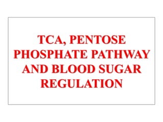 TCA, PENTOSE
PHOSPHATE PATHWAY
AND BLOOD SUGAR
REGULATION
 