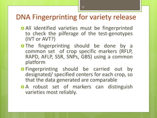 DNA Fingerprinting for variety release
 All identified varieties must be fingerprinted
to check the pilferage of the test-genotypes
(IVT or AVT?)
 The fingerprinting should be done by a
common set of crop specific markers (RFLP,
RAPD, AFLP, SSR, SNPs, GBS) using a common
platform
 Fingerprinting should be carried out by
designated/ specified centers for each crop, so
that the data generated are comparable
 A robust set of markers can distinguish
varieties most reliably.
12
 