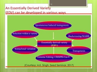 An Essentially Derived Variety
(EDV) can be developed in various ways
Spontaneous/induced mutagenesis
Selection within a variety
Backcrossing/MABB
Transgenesis
Somaclonal variation
Essentially derived variety
(EDV)
Genome Editing: CRISPR-Cas-9
(Courtesy: A.K. Singh, Seed Seminar, 2017)
15
 