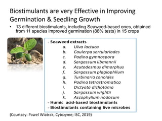 Biostimulants are very Effective in Improving
Germination & Seedling Growth
• 13 different biostimulants, including Seaweed-based ones, obtained
from 11 species improved germination (88% tests) in 15 crops
(Courtsey: Pawel Wiatrak, Cytozyme; ISC, 2019)
 