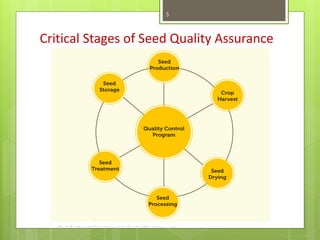 Critical Stages of Seed Quality Assurance
5
 