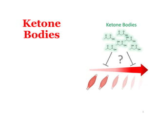 Ketone
Bodies
1
 