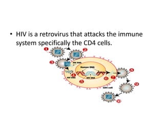 • HIV is a retrovirus that attacks the immune
system specifically the CD4 cells.
 