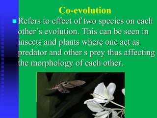 Co-evolution
◼ Refers to effect of two species on each
other’s evolution. This can be seen in
insects and plants where one act as
predator and other s prey thus affecting
the morphology of each other.
 