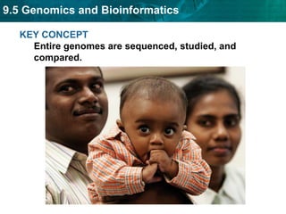 9.5 Genomics and Bioinformatics
KEY CONCEPT
Entire genomes are sequenced, studied, and
compared.
 