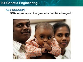 9.4 Genetic Engineering
KEY CONCEPT
DNA sequences of organisms can be changed.
 