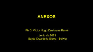 Ph D. Víctor Hugo Zambrana Barrón
Junio de 2023
Santa Cruz de la Sierra –Bolivia
ANEXOS
 