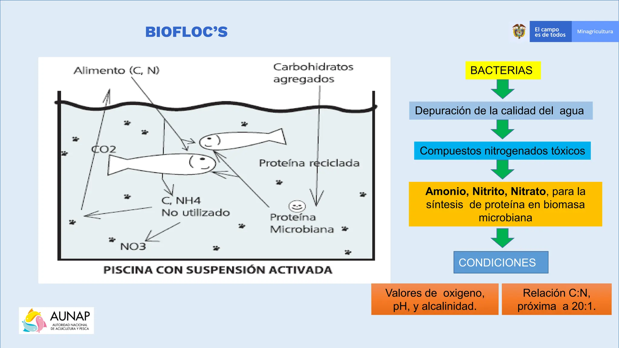 9.-Cultivo-de-peces-con-tecnología-biofloc (1).pdf