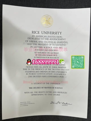 Diploma De La Universidad De Rice