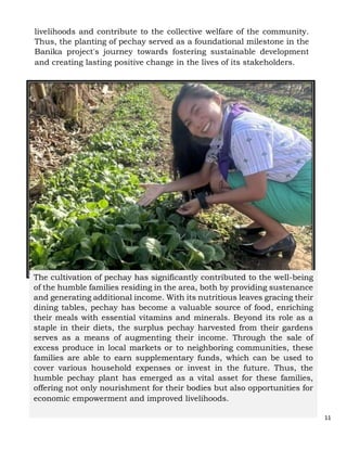 9.PILARHIDALGOLIMTROOPAWARDS2024PALAWANCOUNCIL COLLAB.docx