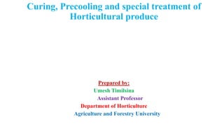 9. Curing and degreening of fruits and vegetables.pptx