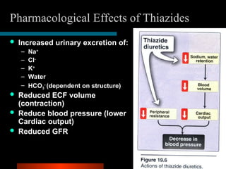 9.5. Pharmacology of Thiazides Diuretics -dec2015.ppt